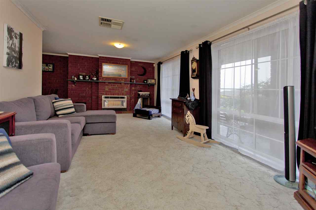 resized-2349823-edit11 kingfisher 16.JPG